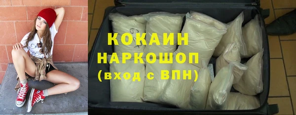 тгк Инсар