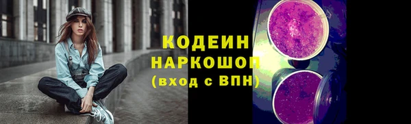 тгк Инсар