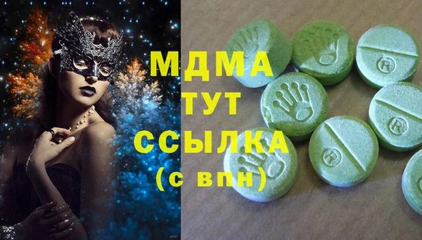 тгк Инсар