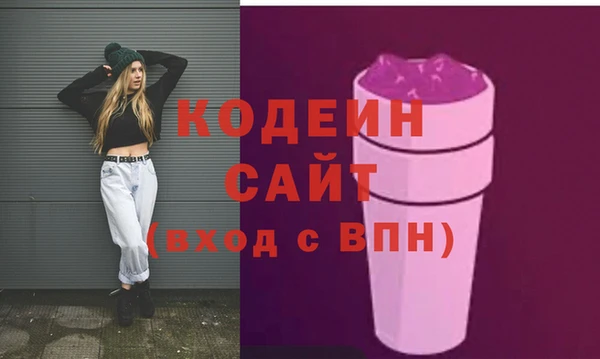 тгк Инсар
