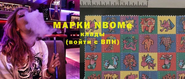 тгк Инсар