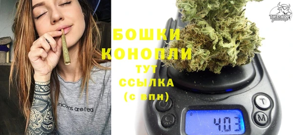 тгк Инсар