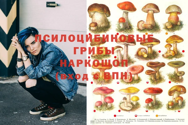 тгк Инсар