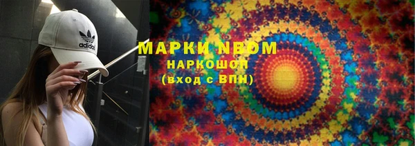 тгк Инсар
