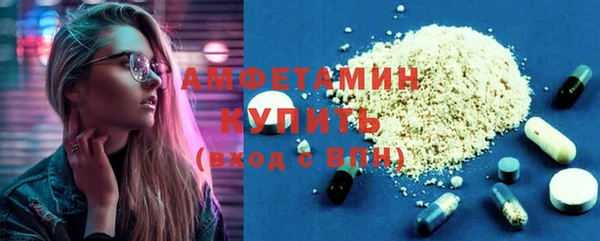 тгк Инсар