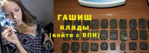 тгк Инсар