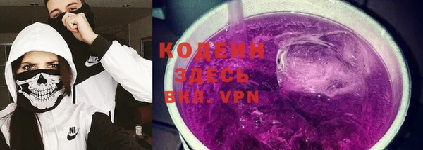 тгк Инсар