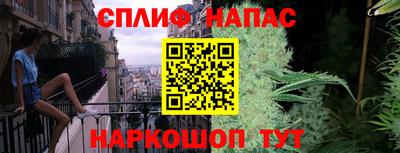 стафф Донской