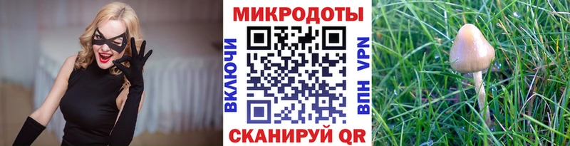 Купить где  Нижний Тагил  Псилоцибиновые грибы GOLDEN TEACHER 