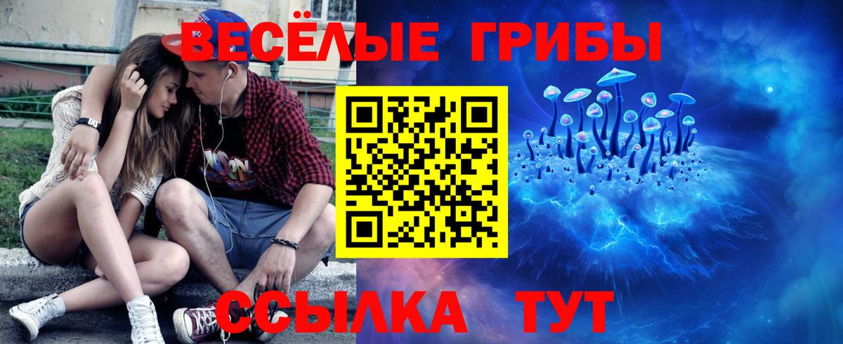 Галлюциногенные грибы Psilocybe  Псилоцибиновые грибы мицелий  Вход с VPN  как найти   Нижний Тагил 